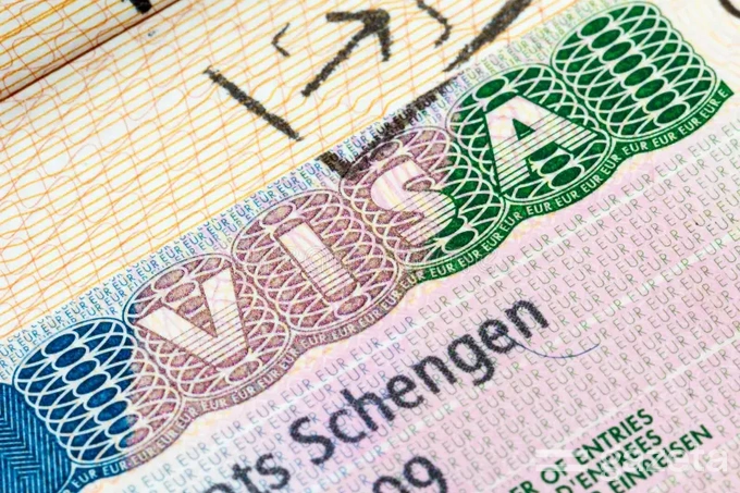 Виза хизматлари бозорида VFS Global ва Vizametric устун мавқега, TLSсontact устун музокара кучига эга деб топилди