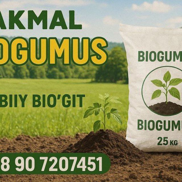 Beyo gomust