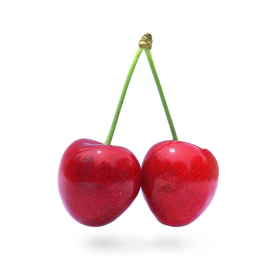 Gilos