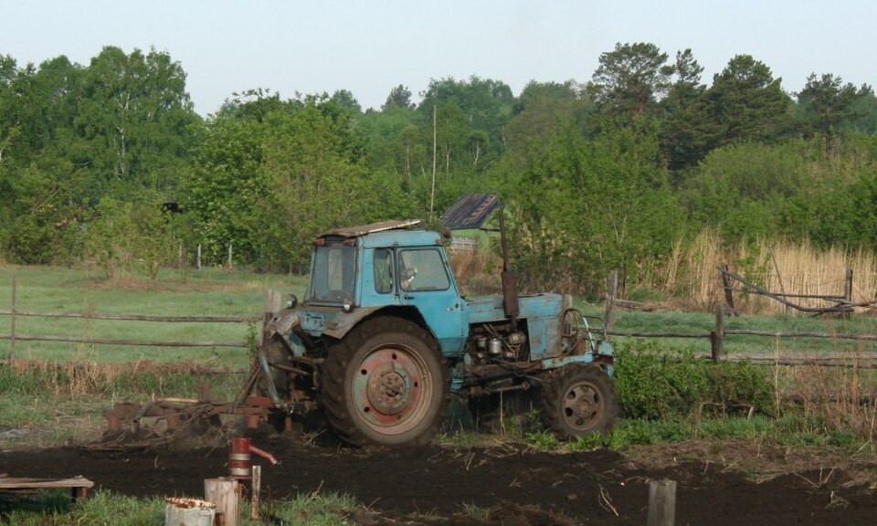 Traktor MTZ-80