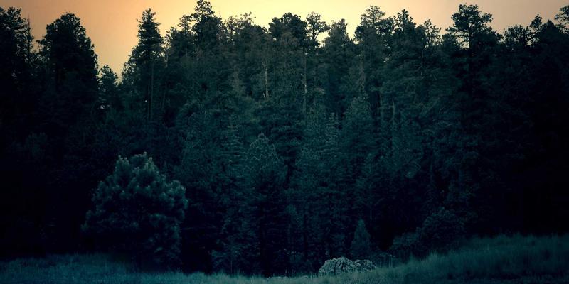 Freelance dasturchi bo'lish yo'llari