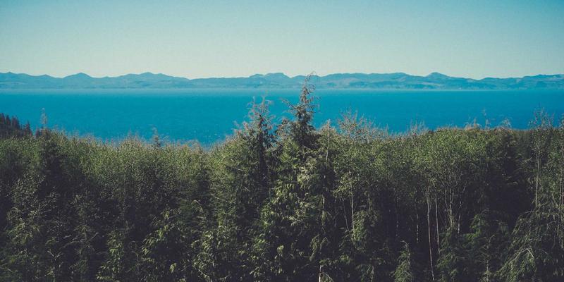 Linux buyruqlar qatori (Terminal)